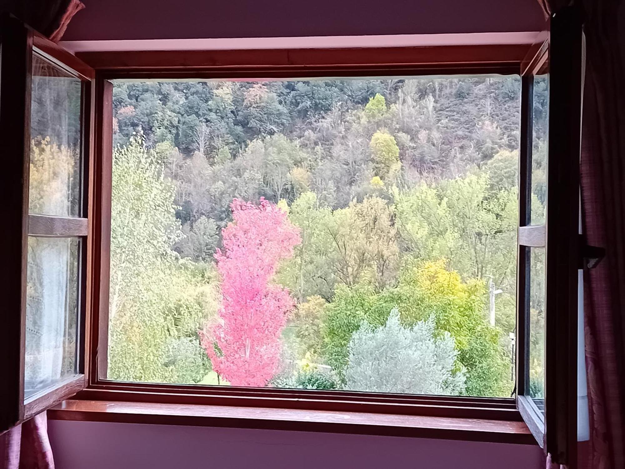 Picos De Europa Suites And Rooms Turieno Exterior foto